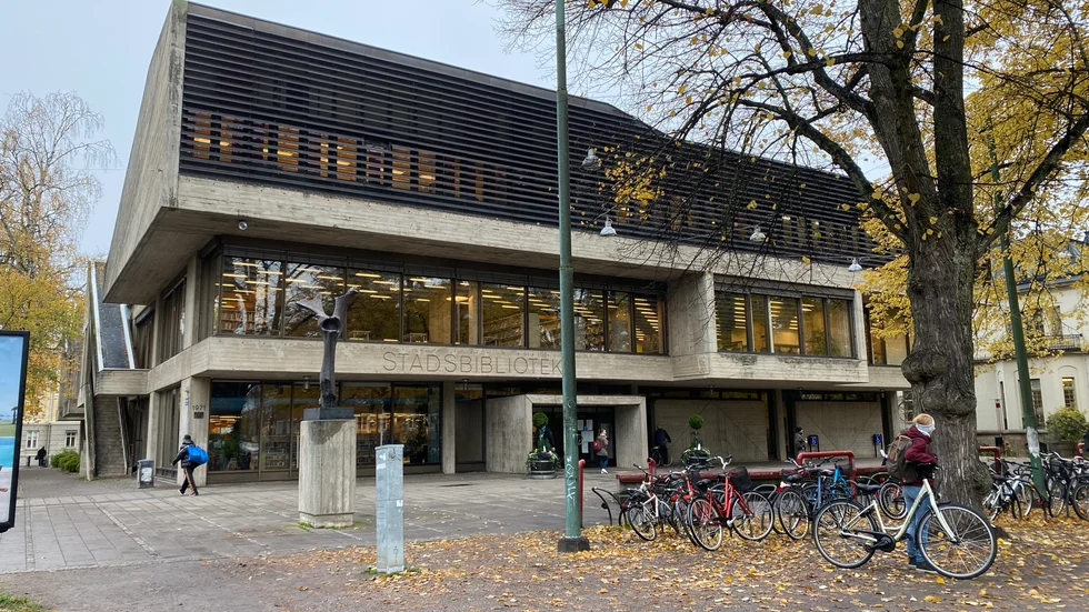 "Det är väldigt obehagligt när det kommer in en stökig person på jobbet men vi har försökt att ha rutiner så man vet hur man ska agera", säger bibliotekschef Anna Grusell.