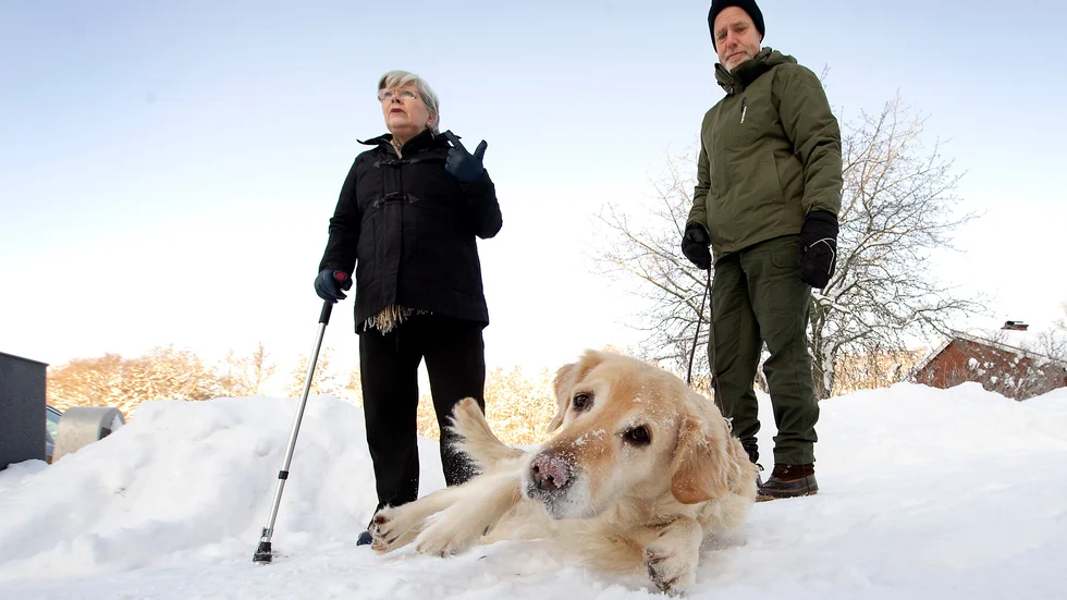 Hunden Malva blev illa biten av andra hundar då och matte Susanne Schuch var ute på den vanliga promenaden i Sjösa en kväll i november. Susanne föll och bröt benet. Husse Einar var inte hemma vid tillfället.