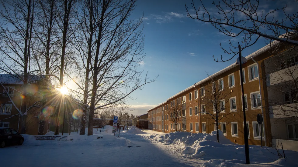 Det var tidigt på tisdagsmorgonen som polisen åkte till en lägenhet på Tunastigen i Luleå.