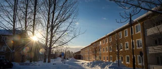 Därför släpptes de misstänkta på fri fot