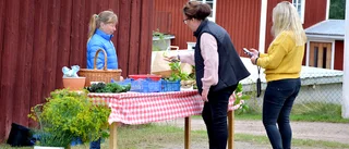 Blandade aktiviteter lockade till Brotorp