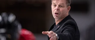 Hästens lån: "En riktig jäkla energispelare"