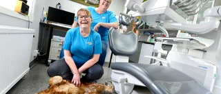 Här är de på bettet – nu växer tandkliniken 