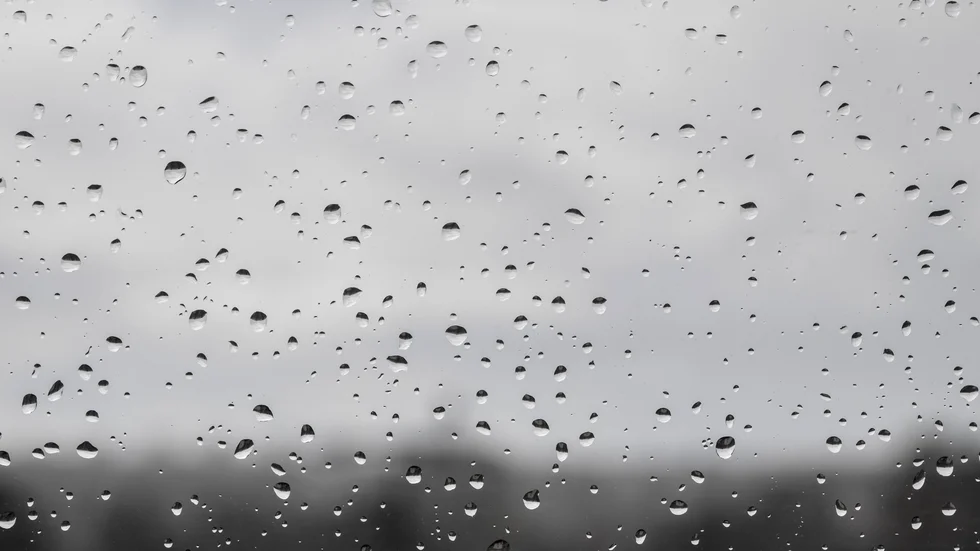 Många dagar med regn under juli har gjort att grundvattennivåerna höjts. Arkivbild