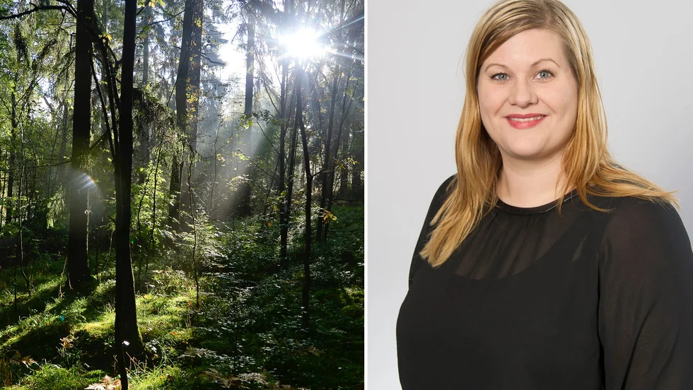 Uppsala kommun utreder just nu hur de kan ta fram en miljökonsekvensbeskrivning för byggplanerna i Blodstensskogen.