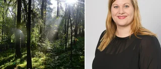 Bygget i Blodstensskogen stoppades – men planerna finns kvar