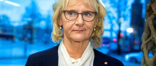 Blomberg: Skatta inte ihjäl hästen som drar lasset