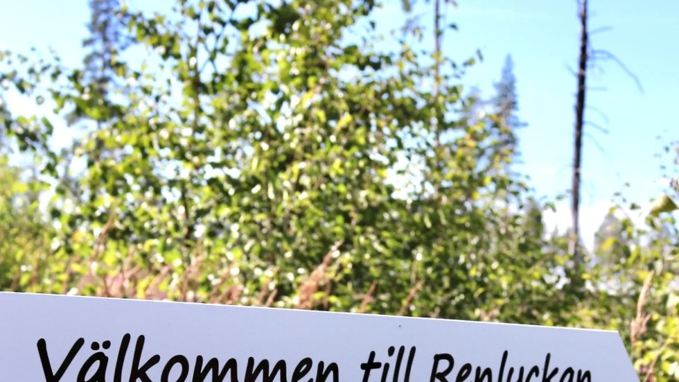 Området står helt klart och är nu redo för kommande husbyggen. 