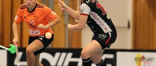 Onyxdamer kryssade  TE-förlust mot Telge