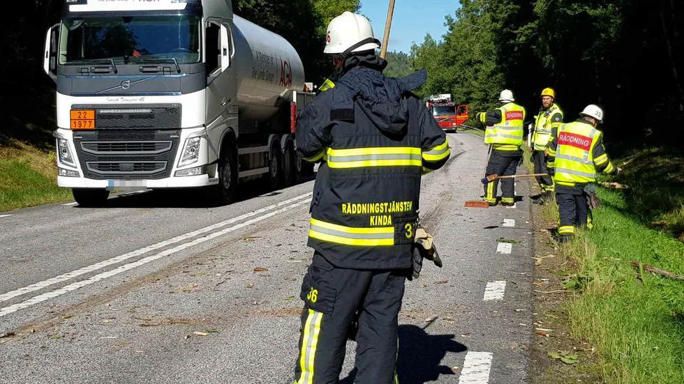 Lastbilen körde in i ett träd.