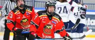 Luleås trotjänare om konkurrensen: "Bäst bredd i ligan"