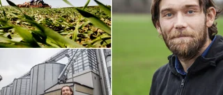 Lantbrukarens glädje över goda skördar - "Ett bra år"
