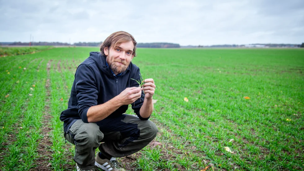 "Kommer det regn så kommer det bli fantastiskt, kommer det inte regn så kommer det bli jättejobbigt", Andreas Nypelius berättar om läget för lantbrukarna just nu. Bilden är en arkivbild. 