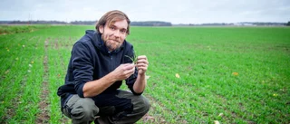 Läget för lantbrukarna • ”Enormt viktigt med regn nu”