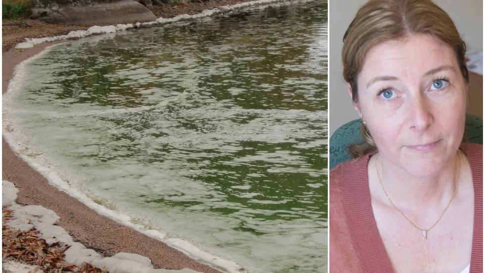 Miljöinspektören Jenny Herbertsson är kommunens projektledare för reningsprojektet vid Öljaren.
