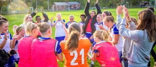 Ny tränare klar för division 1-laget