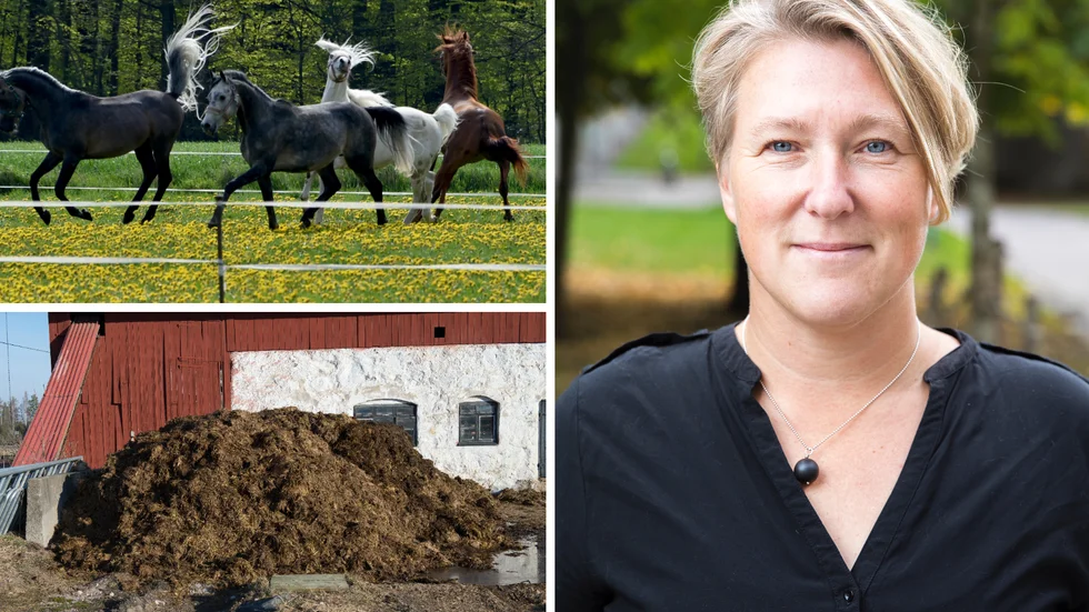 "Det är alltid billigare och lättare att göra åtgärderna så nära föroreningskällan som möjligt än att försöka fånga näringen när den redan hamnat i vattnet, det är extremt mycket svårare och dyrare." säger Linda Kumblad. 