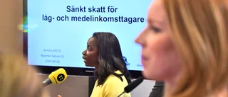 Även tillfälliga skattesänkningar gör nytta