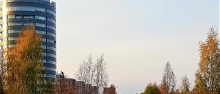 Höst förvandlades till ett vinterlandskap