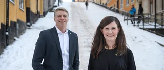 Miljöpartiet rör sig mot slutförvar