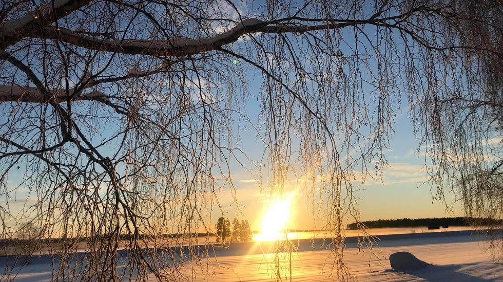 Snön och kylan som kommit under veckan har också gjort avtryck i nyhetsrapporteringen. 
