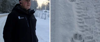 TV: Kolla in de färska vargspåren utanför Vimmerby