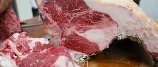 Gör som Haarlem och förbjud köttreklam