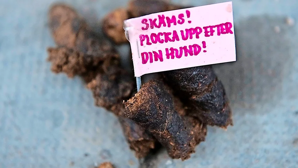 Skit också. Att det ska vara så mycket bajs i tillvaron.