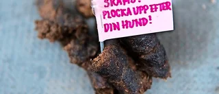 Säg hej till Blamageguden