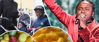 Ladda för Eurovision – tusenlappar att spara på fredagsmyset: Här är det billigast och dyrast