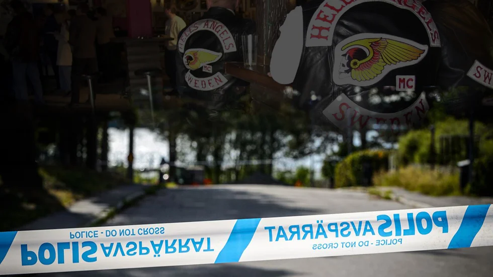 Den 19-årige Luleåbon tillhörde länge "Porsöligan" och har på senare år kopplats till Hells angels i Luleå, precis som sin äldre bror. Nu misstänks han för mordet på den 25-åriga kvinnan på Notviken i somras. 