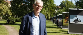 Svenska djur i storformat ställs ut i Vasaparken