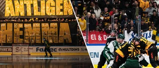 Betygen: Fyra får högsta betyg efter magiska kvällen – sjätte utespelaren hyllas • Hyllningen: "En supervärvning av Forssell"