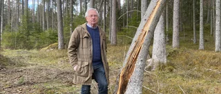 Ny avverkning på gång i kommunen: "Har informerat så mycket som det går"