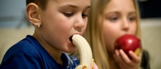 Nytt sorts fritis kan bli verklighet