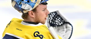 Alnefelt har fått NHL-kontrakt med Tampa Bay