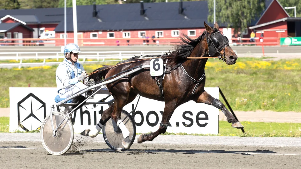 Matter Håleryd gör sin andra raka V75-start på lördag.