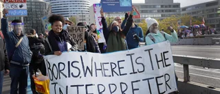 Brittiska regeringen bannas för teckentolkmiss