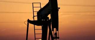 Bahrain ska bli klimatneutralt 2060