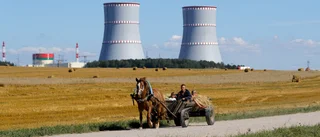 "Finlands energipolitik är deras"