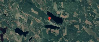 Skogen på Malå-Vännäs 132 i Malå har bytt ägare