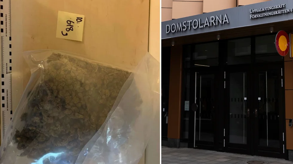 I en bostad hittades bland annat cannabis, amfetamin och annan narkotika samt tre licenspliktiga jaktvapen. 