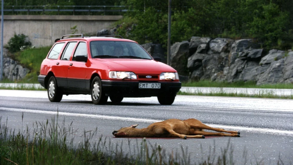 Olyckan inträffade väster om Ankarsrum. Bilden är en genrebild och har inget med den aktuella olyckan att göra.