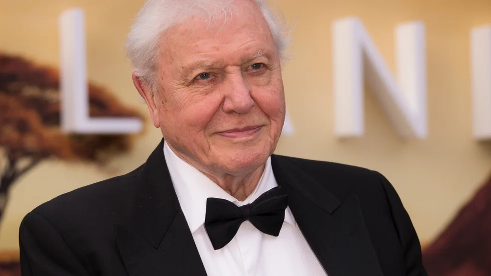 Sir David Attenborough ska gräva efter mammutar. Arkivbild.