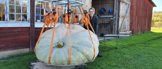Jespers pumpa är lika tung som en valrosshona