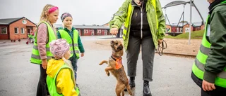 TV • Människans bästa vän har flyttat in på skolan – "Alla skolor har barn som skulle må bra av det"