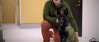 Här tränas Sveriges första coronahundar