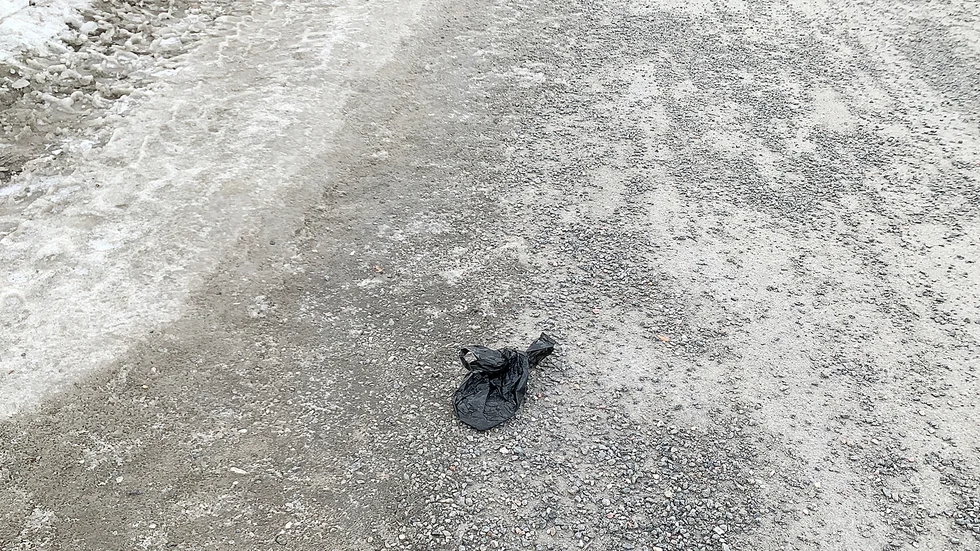 I åtta år har skribenten hjälpt till att plocka upp skräp, men nu får det vara nog. 