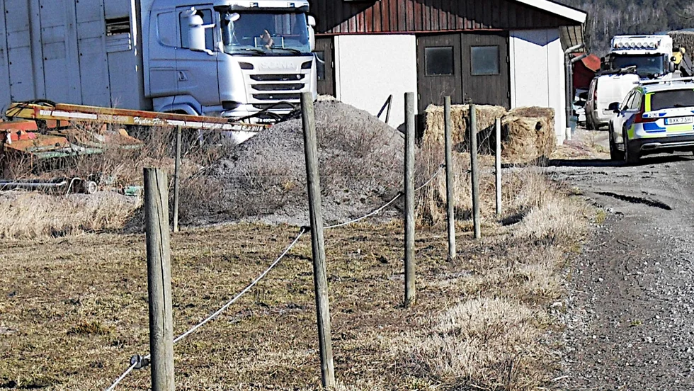 Ägarna till nötkreaturen fråntogs samtliga djur på gården. Detta efter år av misskötsel, enligt Länsstyrelsen.