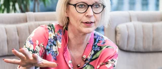 Moderaternas ekonomiska politik leder till splittring